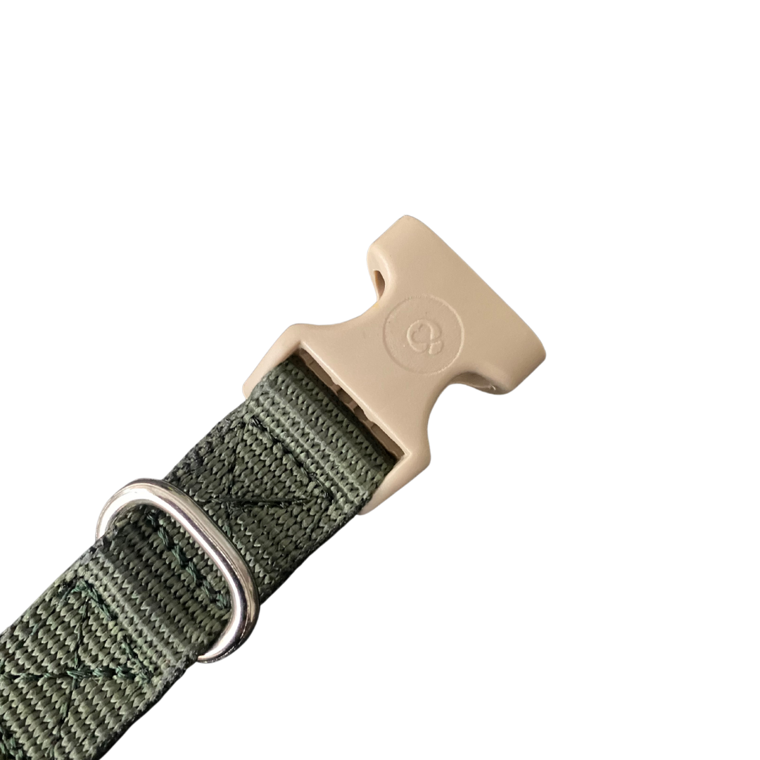 Collar Verde Militar / Beige